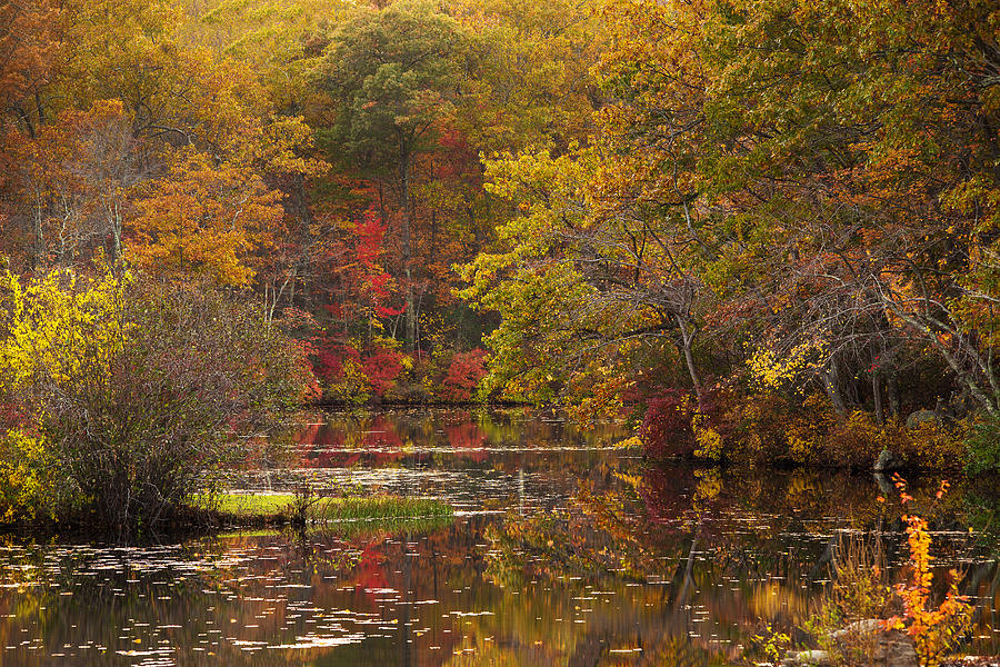 Fall Photograph - Falls River by Jonathan Steele