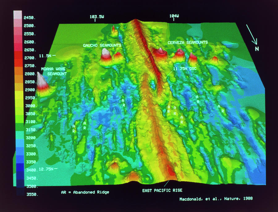 False Col 3d Map Of Part Of East Pacific Rise Photograph by Dr Ken Macdonald/science Photo Library