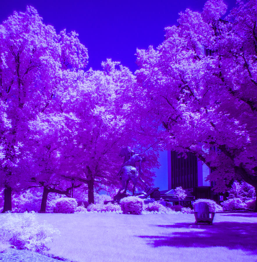 Stevens Institute Of Technology Photograph - False Color Infrared Photo of Stevens Campus by John Dryzga