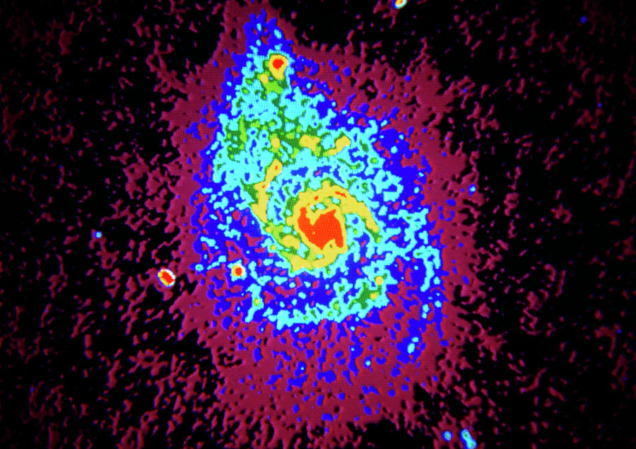 Radio Astronomy Photograph - False-colour Radio Map Of The Whirlpool Galaxy by Kapteyn Laboratorium/science Photo Library Photo Library