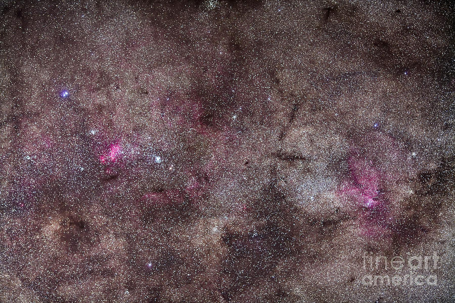 Space Photograph - False Comet Area In Scorpius by Alan Dyer