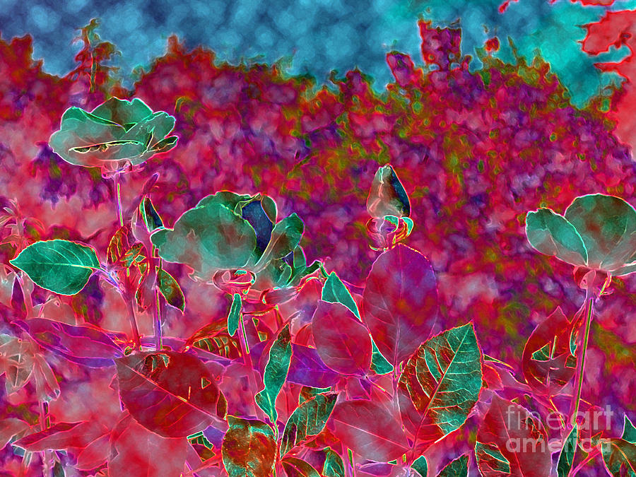 Abstract Photograph - Family 2 by Diane DiMarco