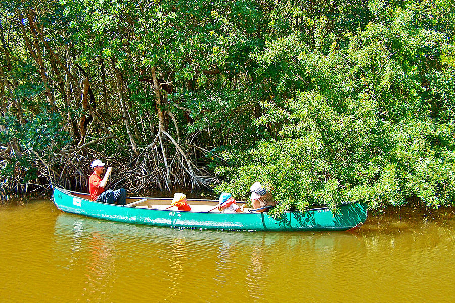 Family Canoeing on Buttonwood Canal in Everglades National ParkFlorida Photograph by Ruth Hager