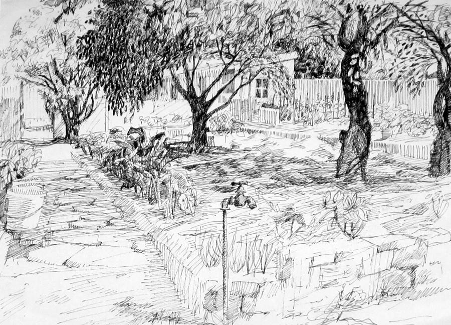 Family Garden Drawing by Mark Lunde