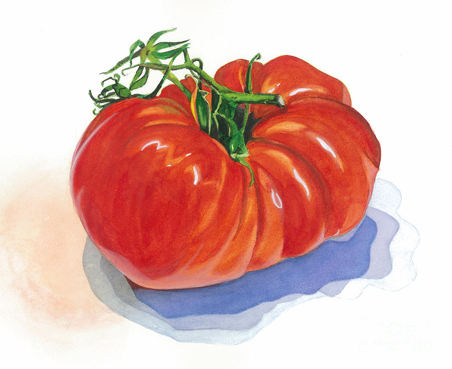 Tomato Painting - Family Heirloom by Barbara Jewell