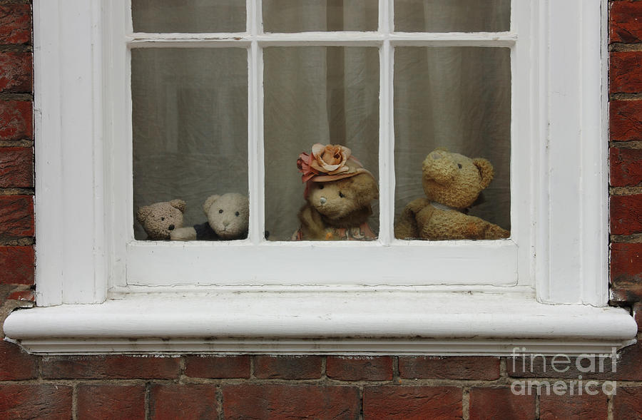 Bear Photograph - Family of teddy bears on the window. by Kiril Stanchev