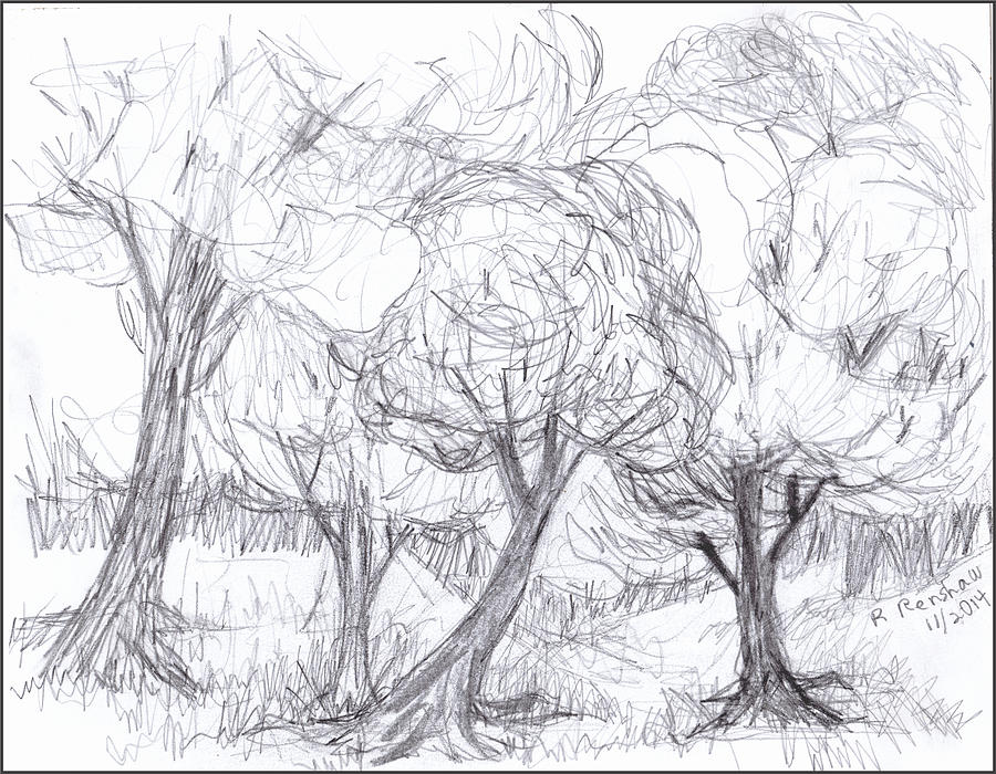 Tree Drawing - Windy Day by Ruth Renshaw