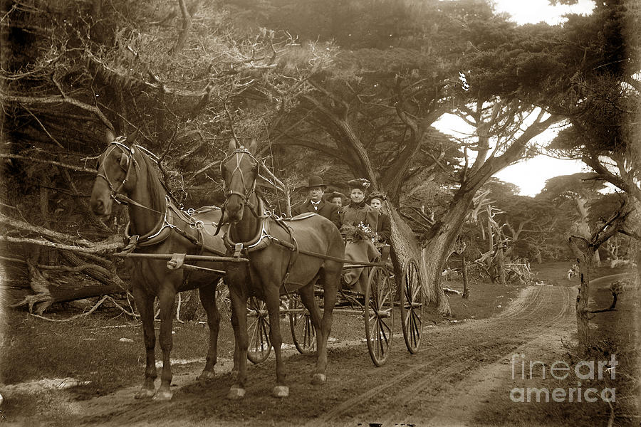 Tree Photograph - Family out carriage ride on the 17 Mile Drive in Pebble Beach Circa 1895 by Monterey County Historical Society