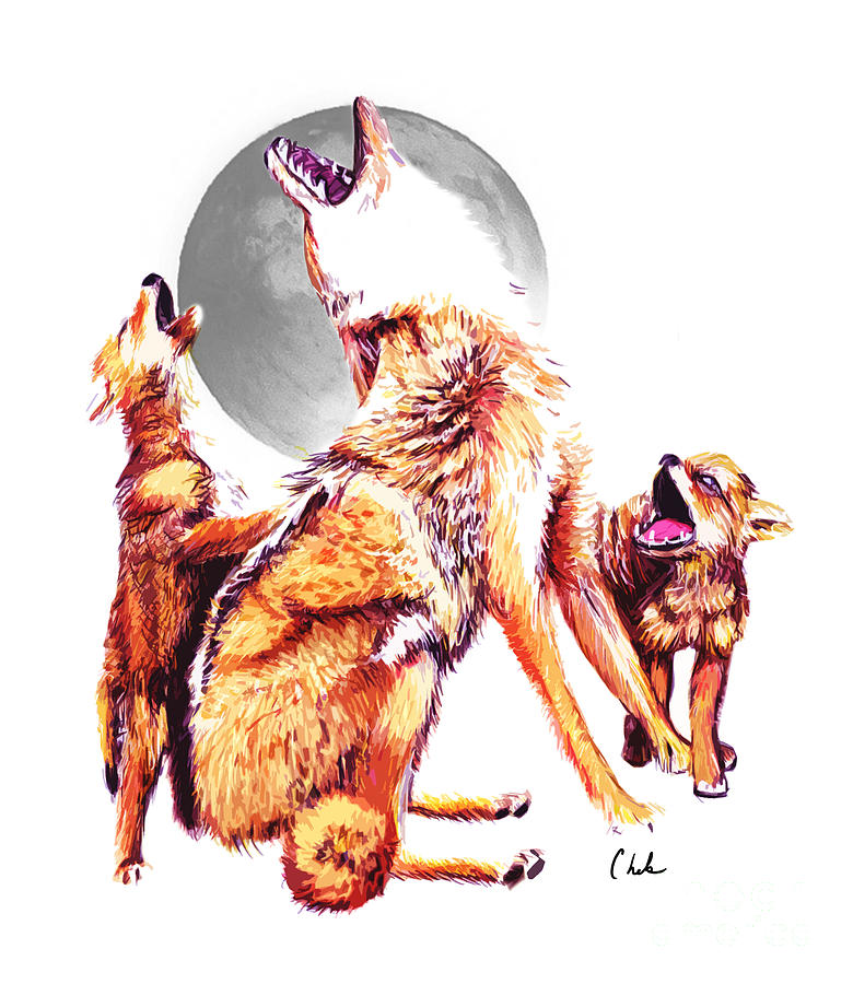 Coyote Digital Art - Family pack by Chelsea Perez