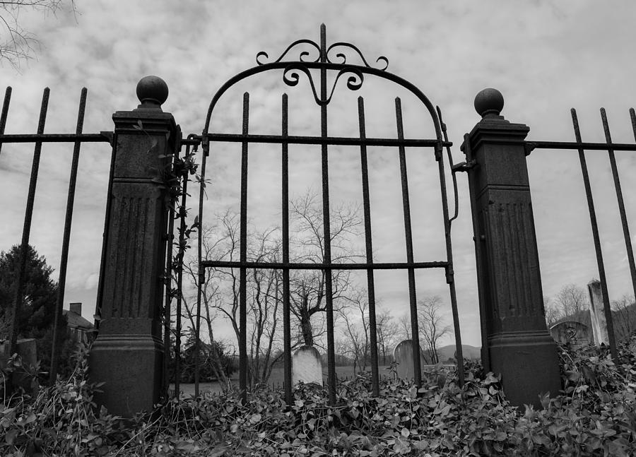 family-plot-photograph-by-sherri-quick-fine-art-america