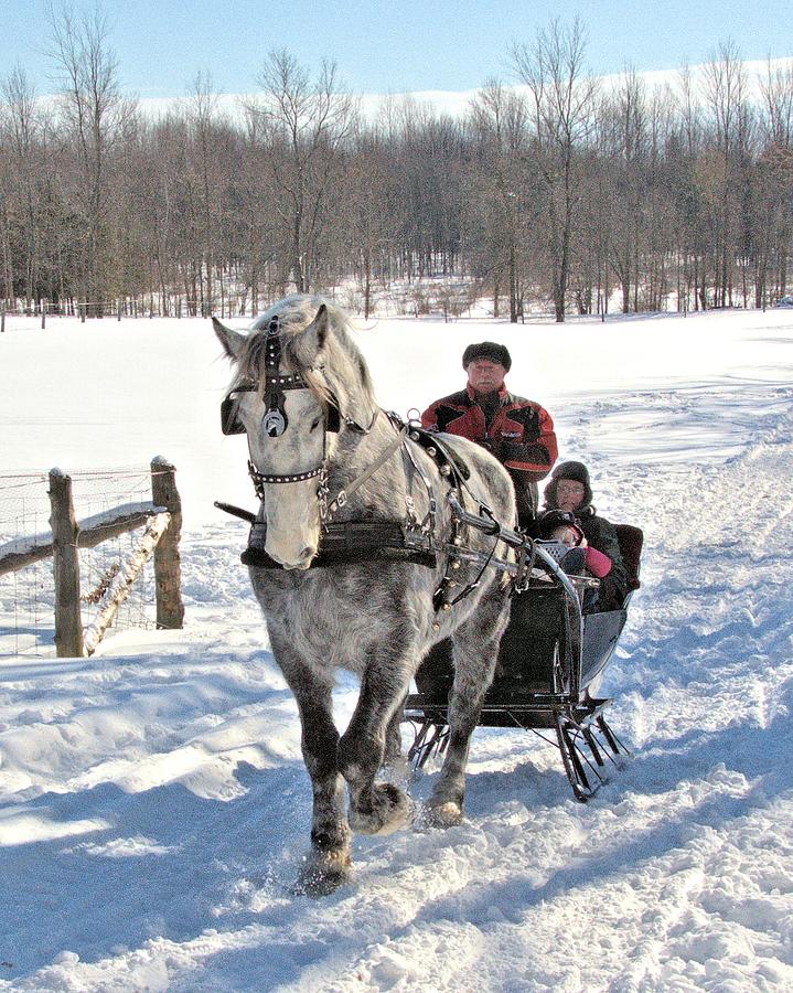 Family Sleigh Ride Photograph by Valerie Kirkwood