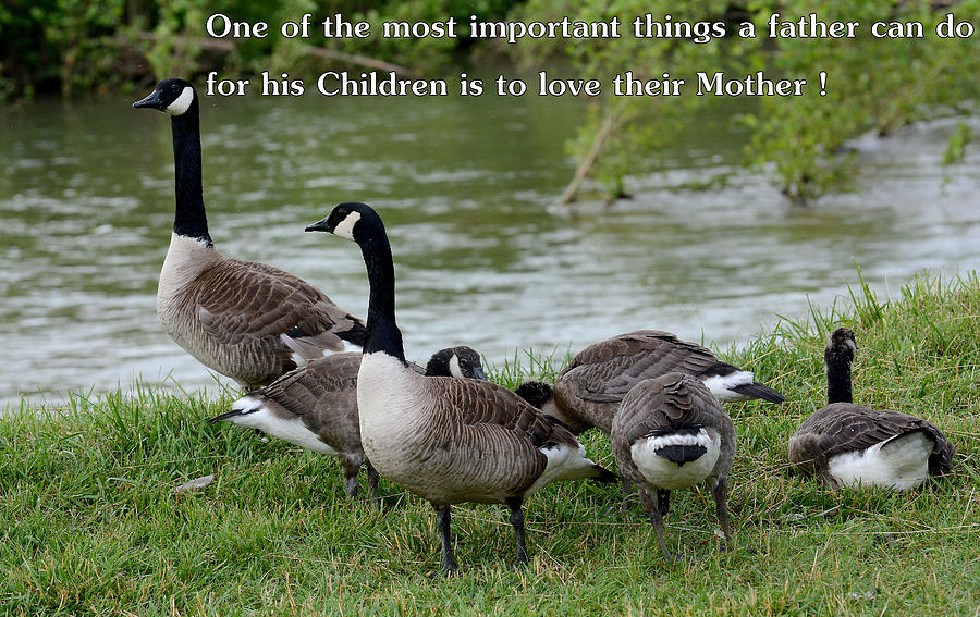 Family Photograph by Todd Hostetter | Fine Art America