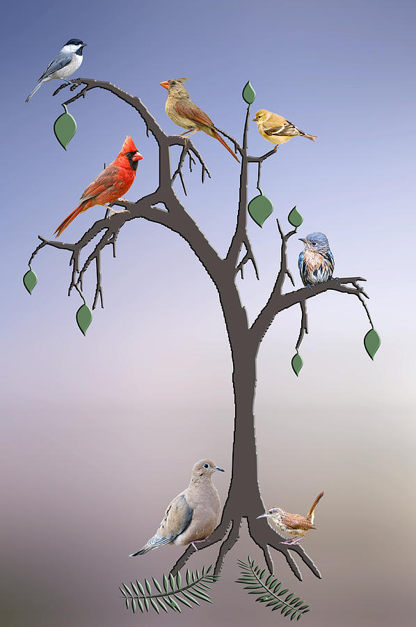 Bird Photograph - Family Tree by Bonnie Barry