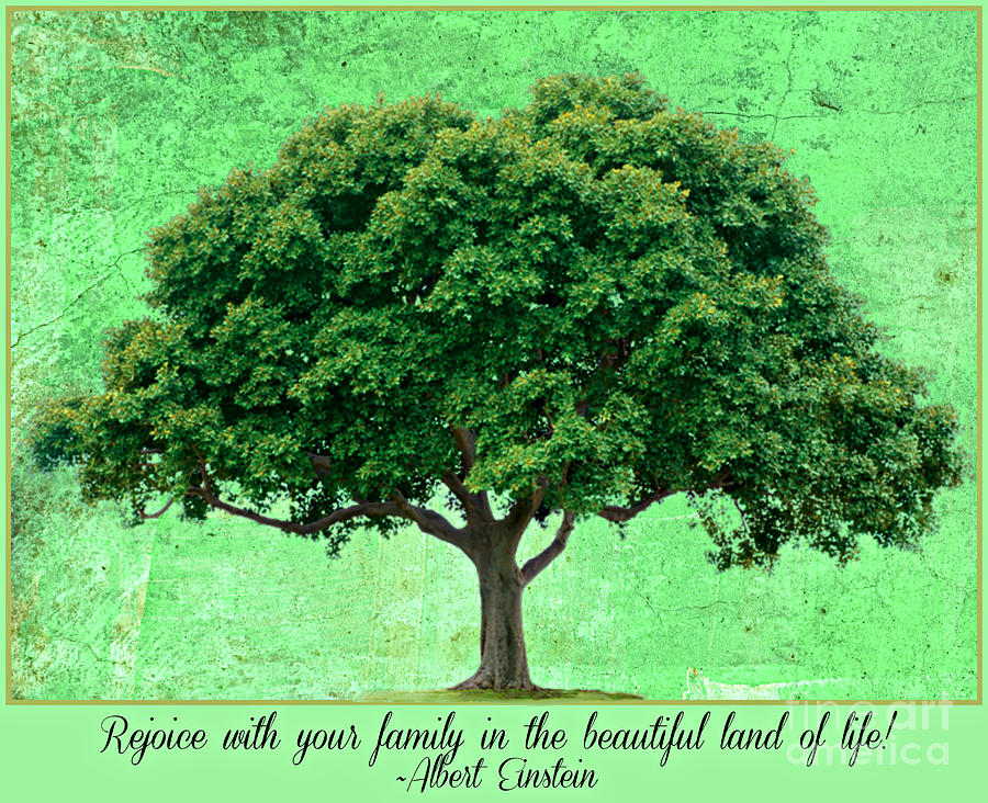 Family Tree Quote Einstein Digital Art by Mindy Bench