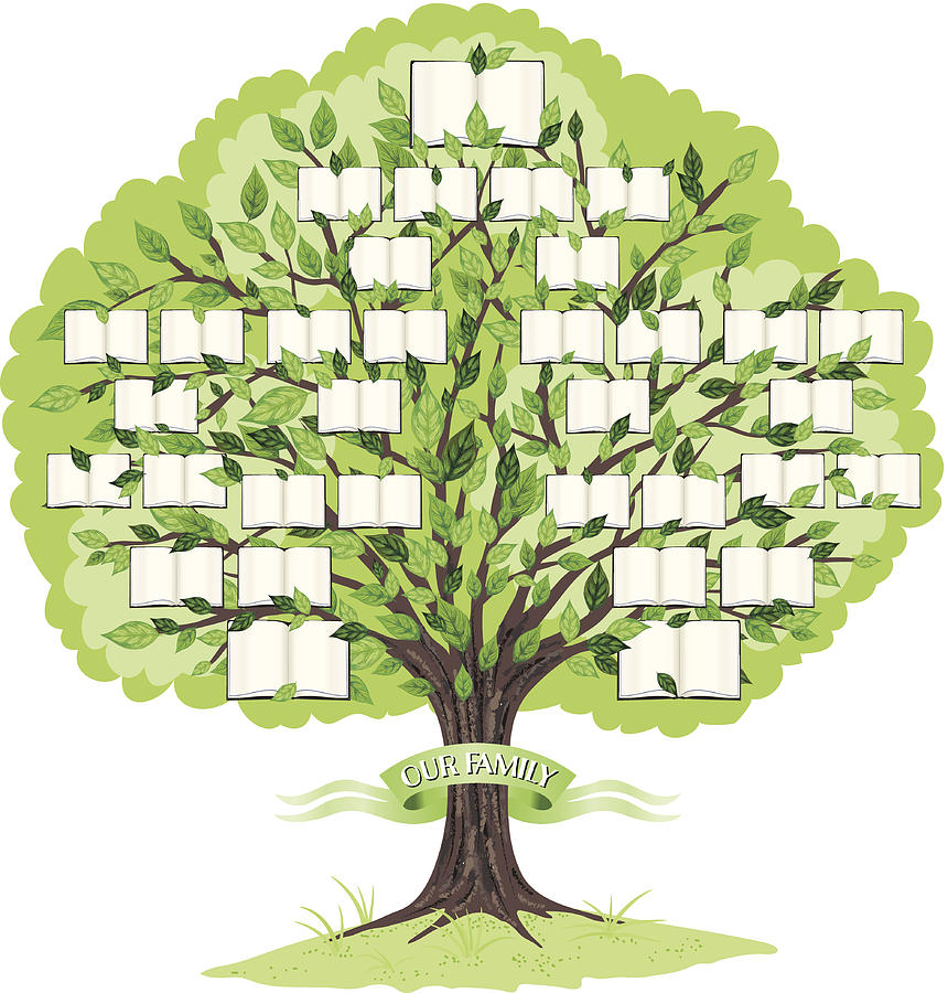 Family Tree Template Drawing by Diane Labombarbe