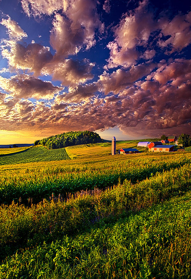 Nature Photograph - Famscaped by Phil Koch
