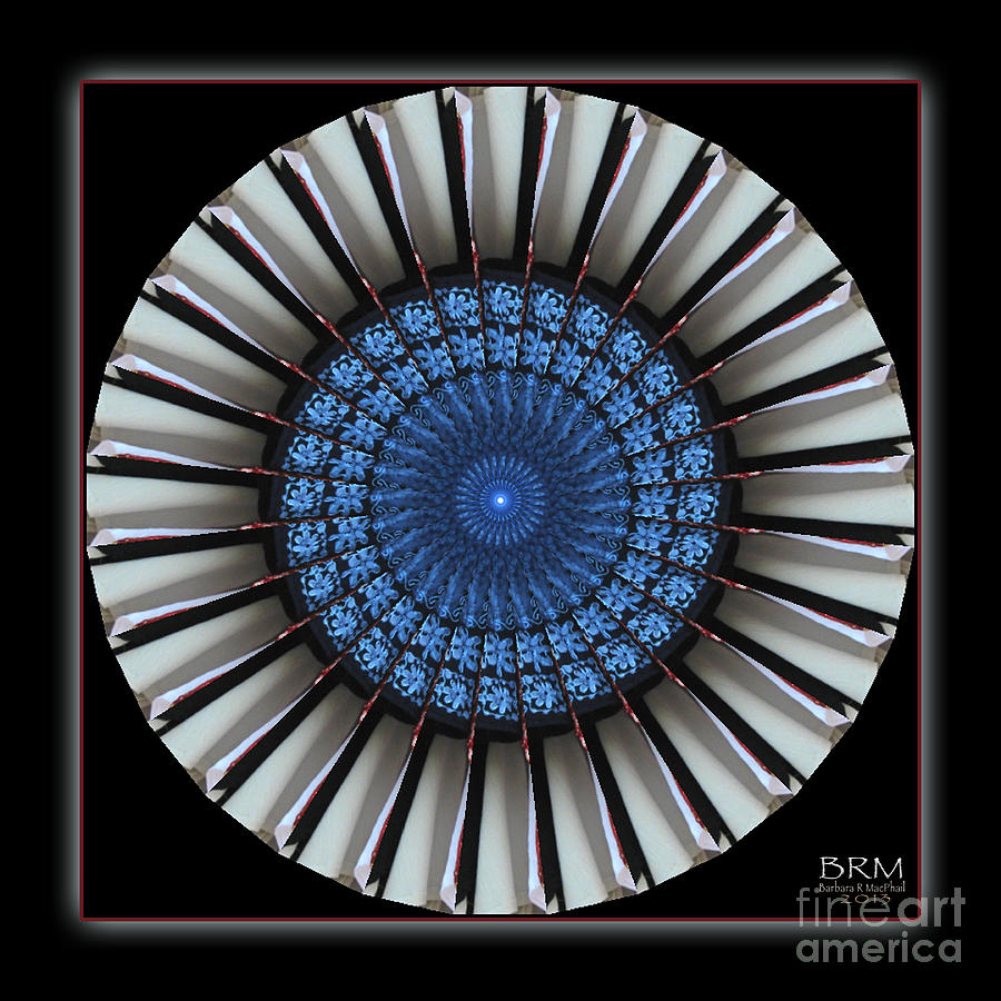 Fan into Blue Photograph by Barbara R MacPhail