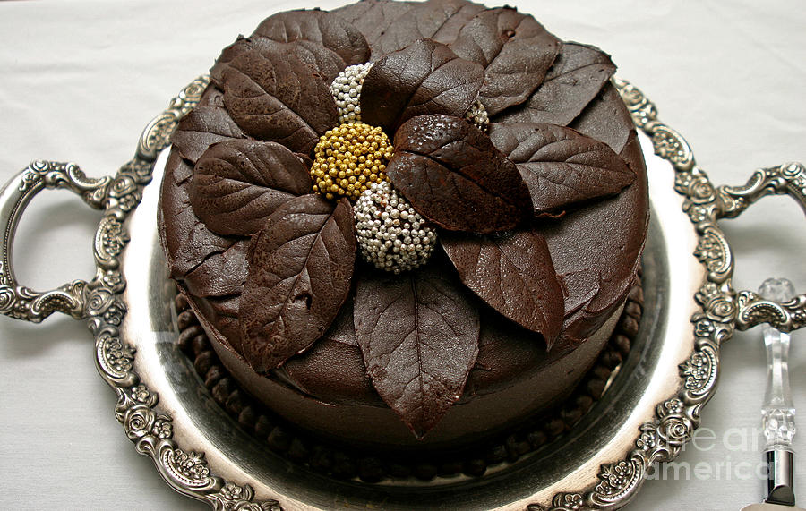 Damaris Phillips Chocolate Cake - Layer Cake Parade