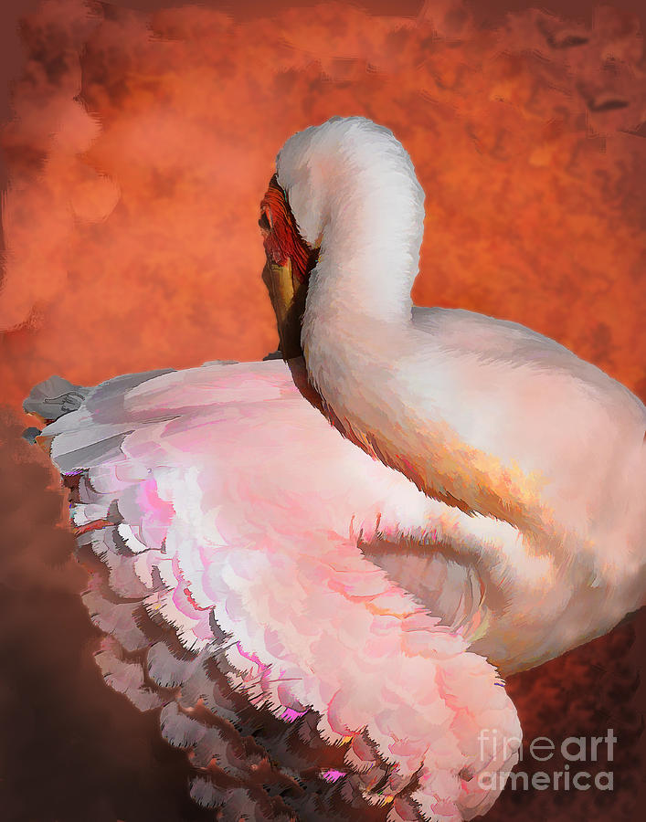 Flamingo Photograph - Fancy Dancer by Melinda Hughes-Berland