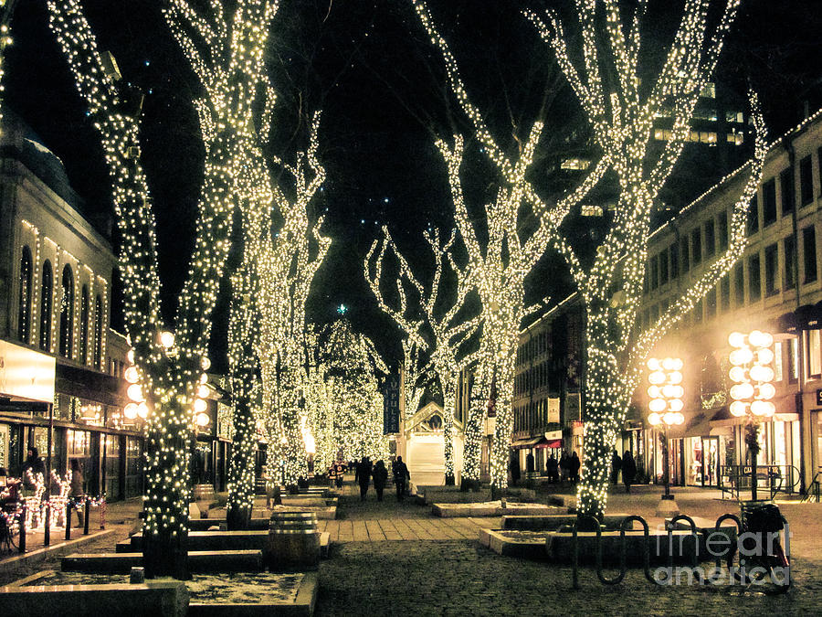 Boston Photograph - Faneuil Hall in Boston is Magical at Christmas by Elizabeth Thomas