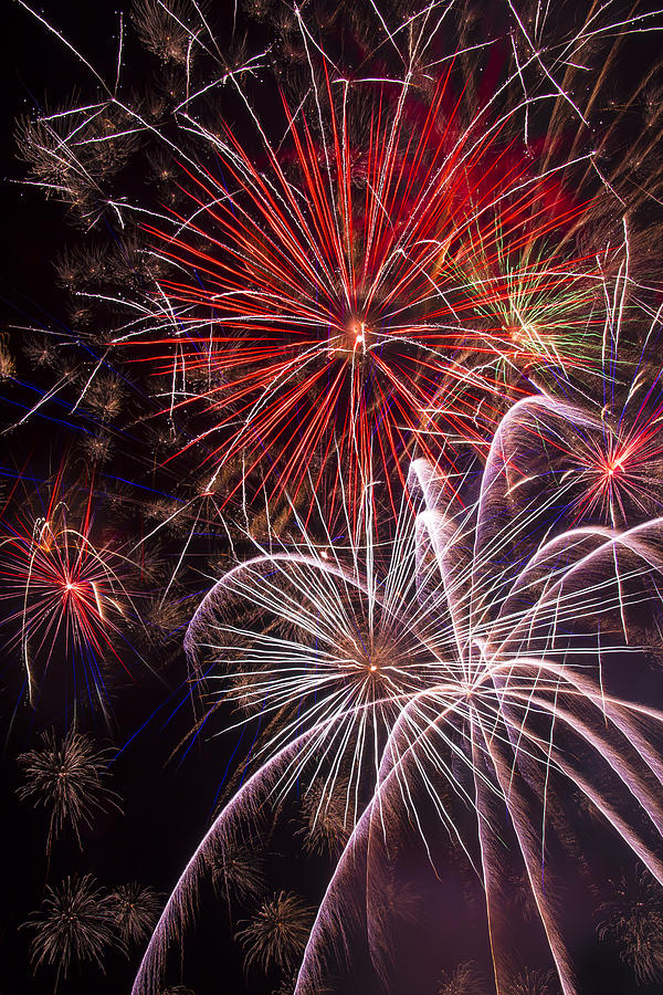Independence Day Photograph - Fantastic Fireworks by Garry Gay