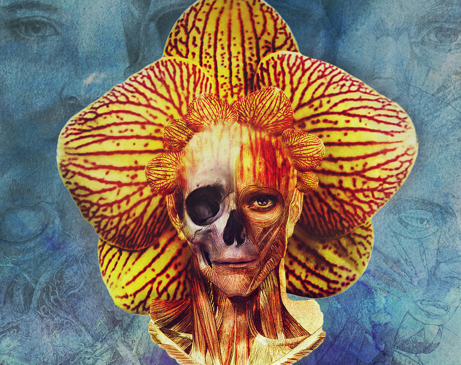Orchid Digital Art - Fantastical Anatomy2 by Michael Volpicelli