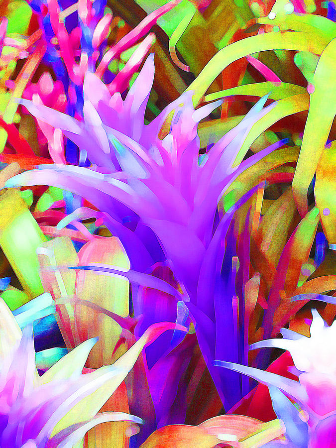 Flower Photograph - Fantasy Bromeliad Abstract by Margaret Saheed