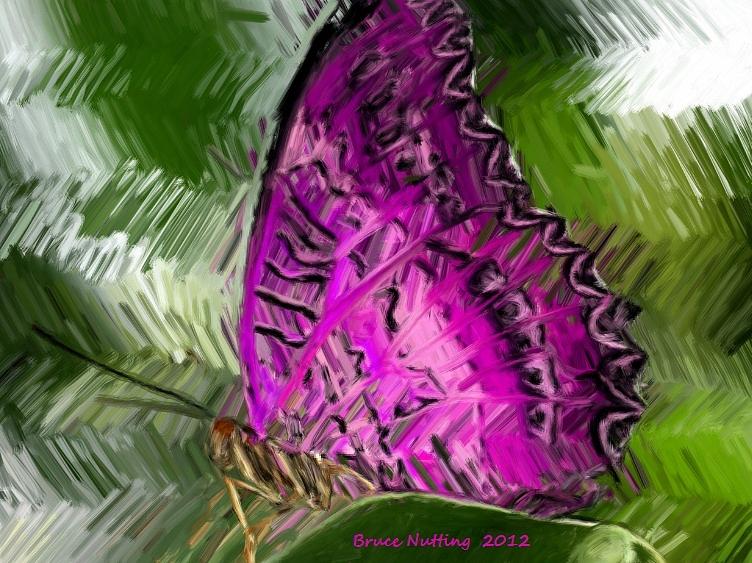 Fantasy Butterfly Painting by Bruce Nutting