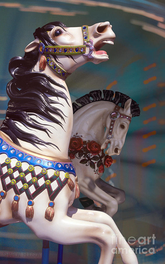 fantasy carousel horses - Dynamic Duo Photograph by Sharon Hudson