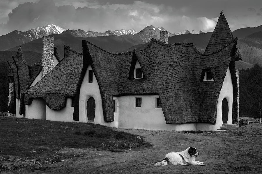 Architecture Photograph - Fantasy Cob Castle From Transylvania by Sebastian Vasiu |