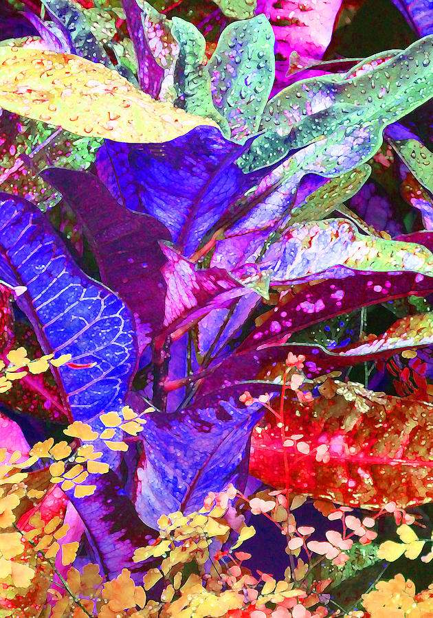 Nature Photograph - Fantasy Colored Leaf Abstract by Margaret Saheed