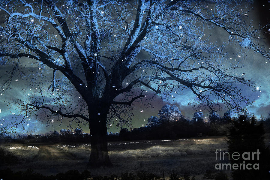 Fantasy Blue Nature Fairy Lights Trees Print - Blue Starry Surreal Gothic Fantasy Trees Stars Photograph by Kathy Fornal