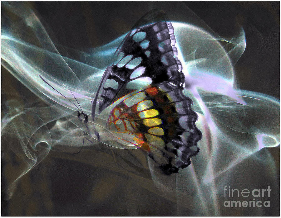 Butterfly Digital Art - Fantasy by Irina Hays