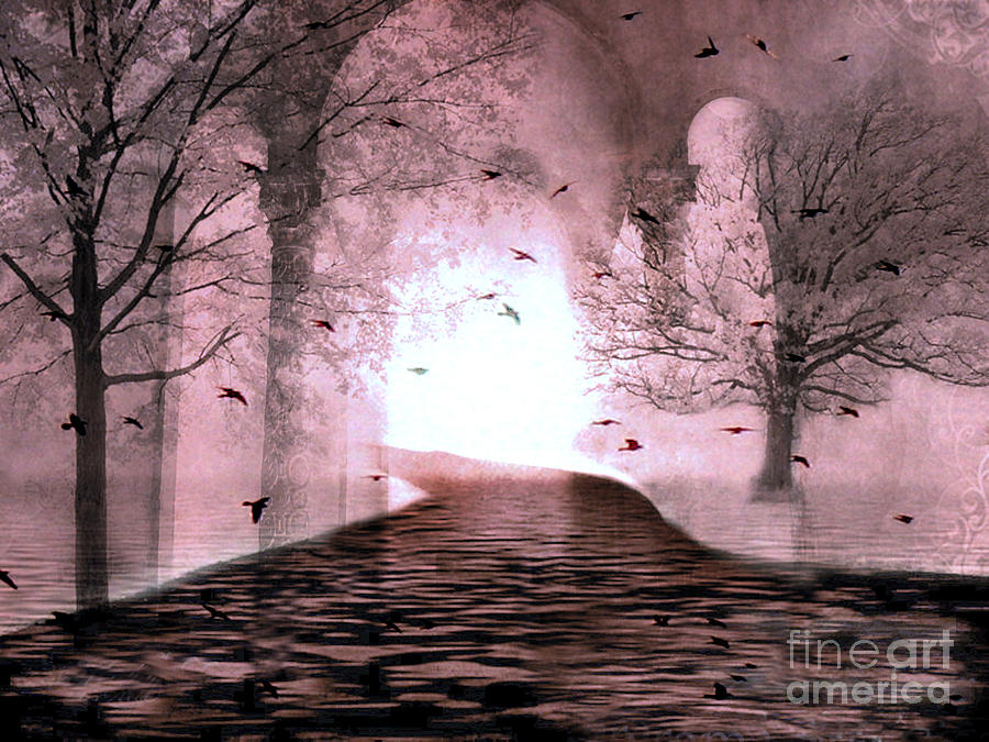 Fantasy Nature Photograph - Fantasy Nature Trees - Haunting Surreal Path Trees and Birds by Kathy Fornal