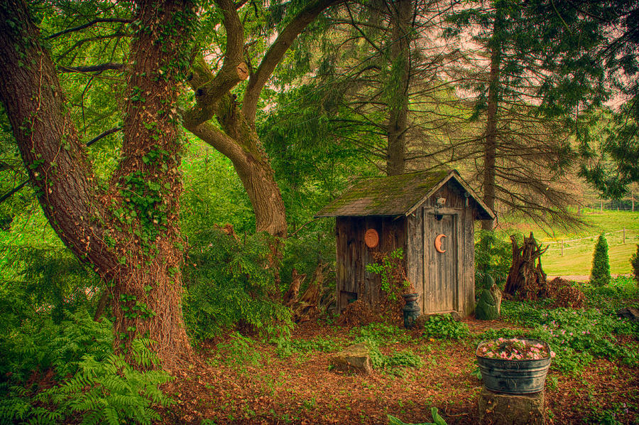 Fantasy Outhouse Photograph by Guy Whiteley