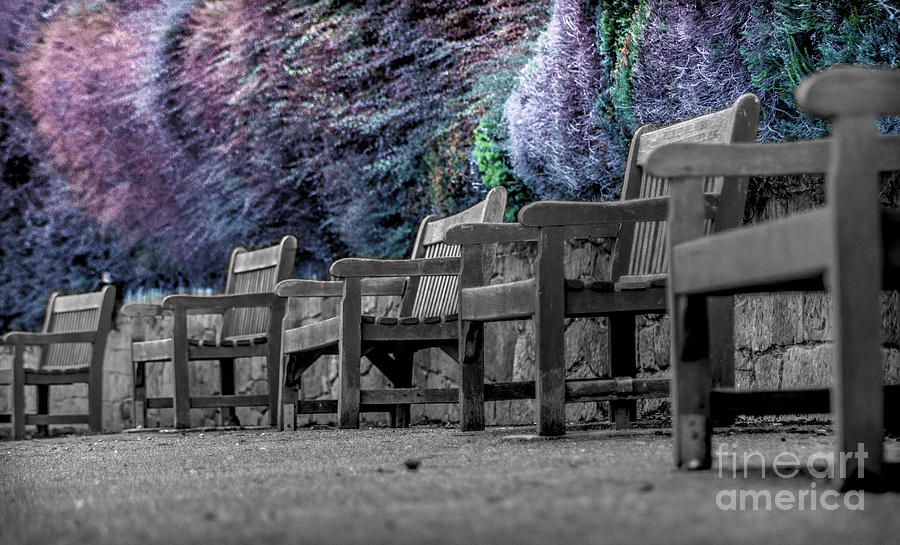 Nature Photograph - Fantasy park bench by Florin-Viorel Filip