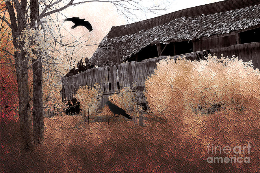 Old Barn Photograph - Fantasy Surreal Gothic Old Barn Scene With Birds and Ravens by Kathy Fornal