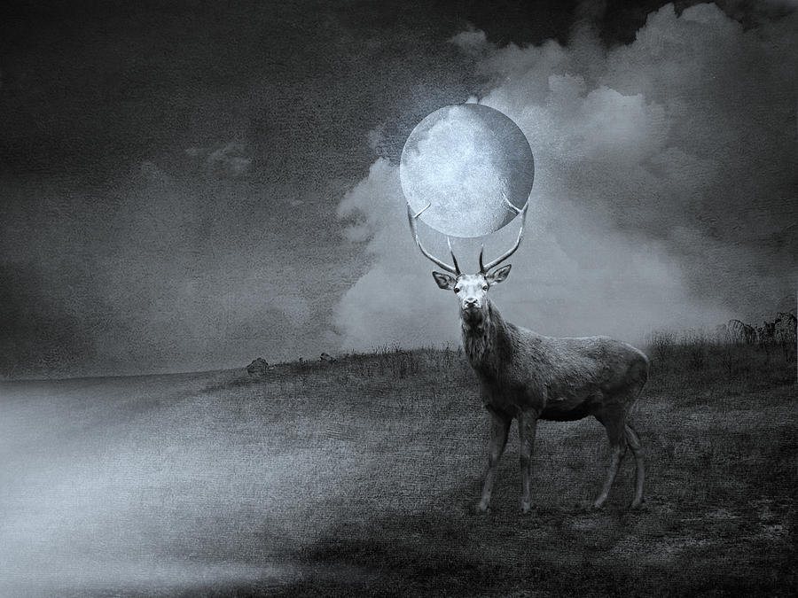 Deer Photograph - Fantasyworld by Heike Hultsch