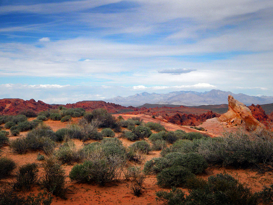 Far Off Across The Desert Photograph by Frank Wilson