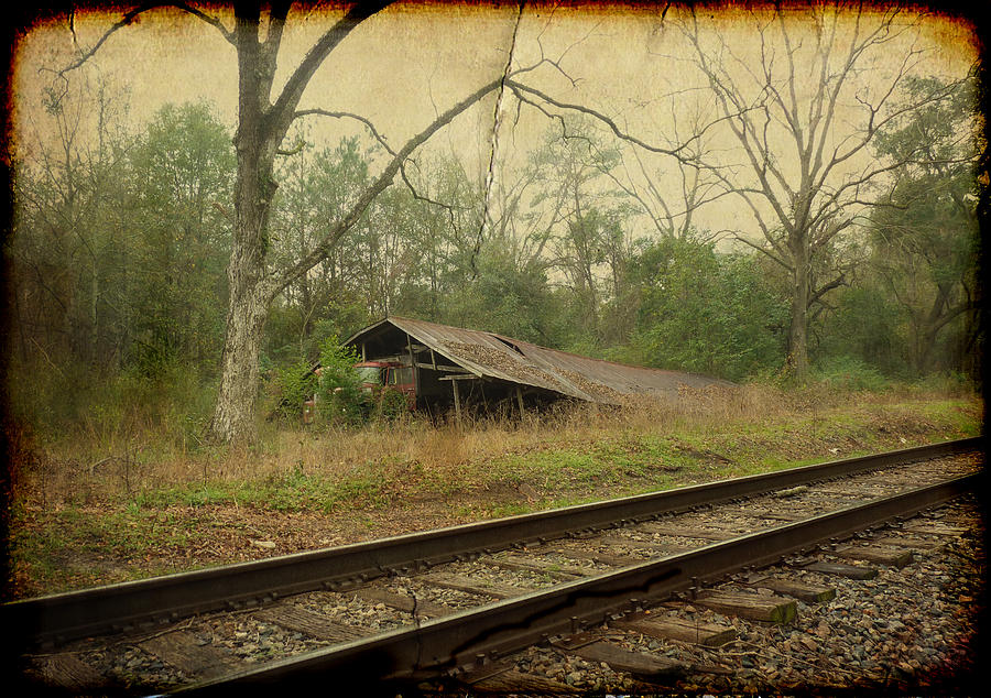 Tree Photograph - Far Side of the Tracks by Carla Parris