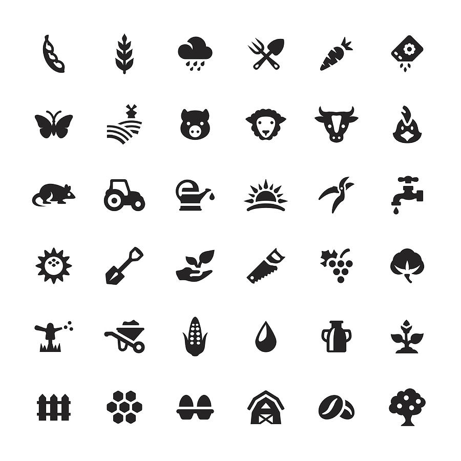 Farm and Agriculture vector symbols and icons Drawing by Lushik