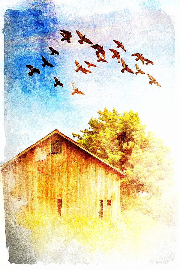 Farm and Birds Digital Art by Andrea Barbieri
