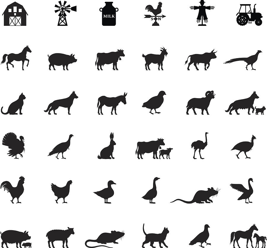 Farm and Domestic Animals Drawing by AlonzoDesign