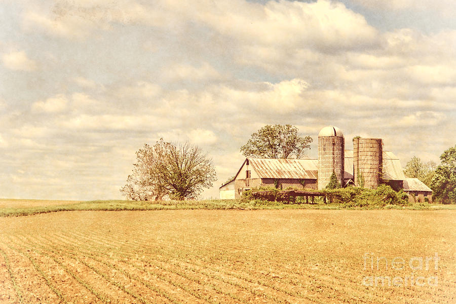 Vintage Photograph - Farm and Fields  by Olivier Le Queinec