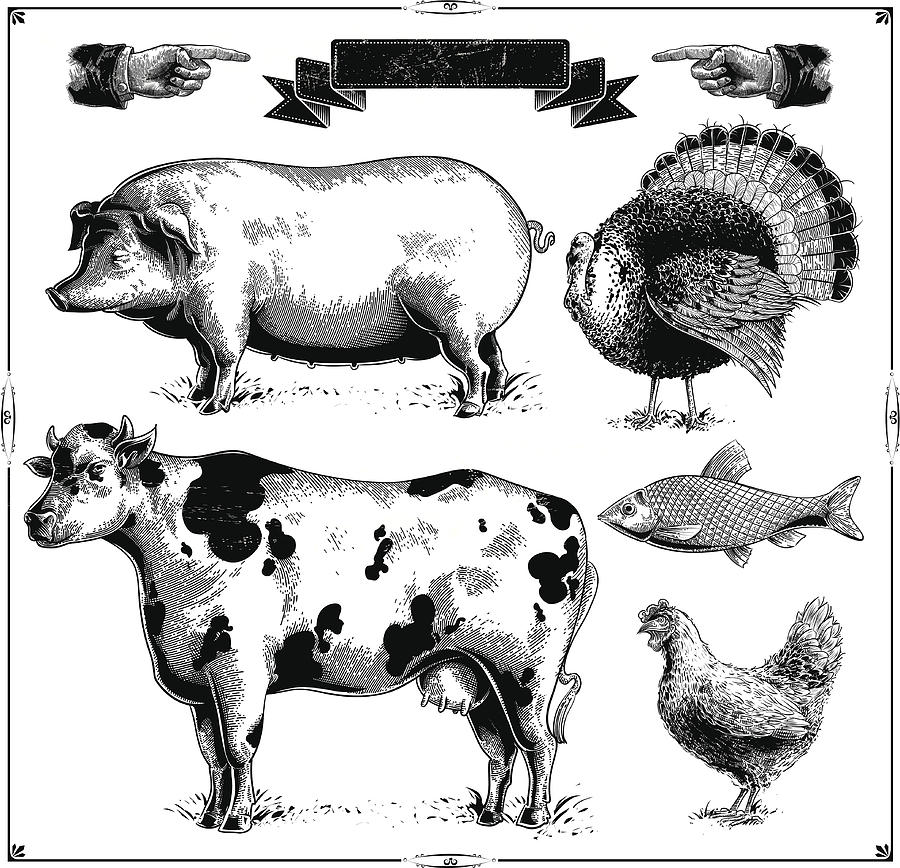 Farm Animals Drawing by Man_Half-tube
