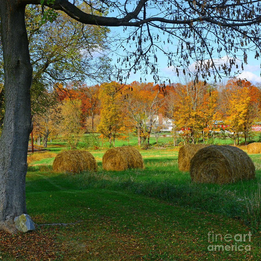 Farm - Autumn Harvest Photograph by Paul Ward