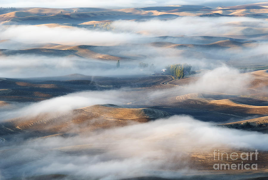 Farm beneath the Fog Photograph by Michael Dawson