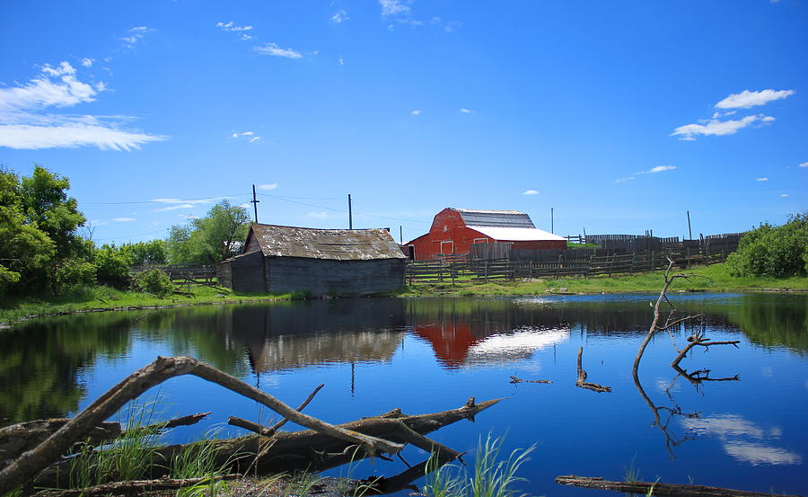 Farm Buildings And Pond. Photograph