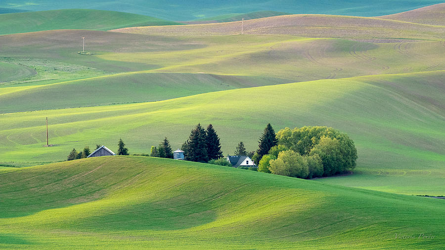 Farm Buildings Nestled in the Palouse Country Photograph by Victoria Porter
