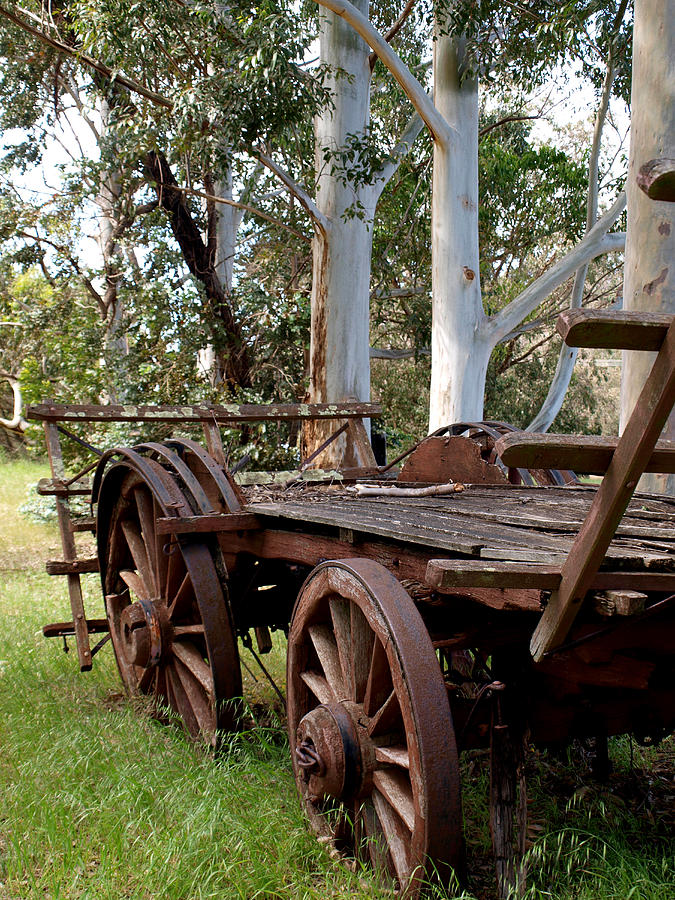 Farm Cart Photograph